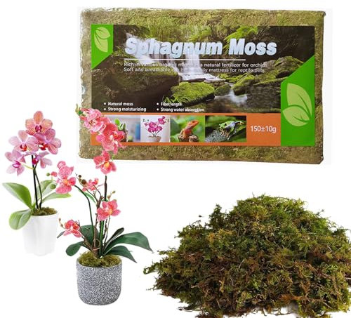 Sphagnum Moss for Plants 5L Terrarium Reptiles Moss Green Dried Peat Moss Habitat Bedding Moss Real Moss Soil Cover for Houseplant and Other Reptiles Substrate