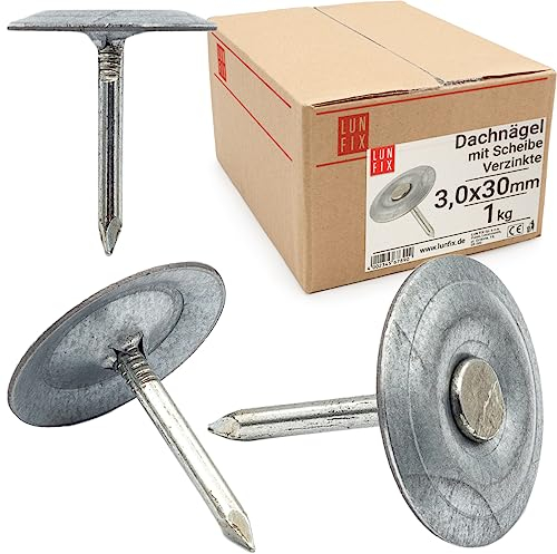 Lun Fix Chiodi per tetto con rondella 3,0 x 30 mm, 1 kg, chiodi in cartone zincato con disco, chiodi in acciaio, chiodi per pettine, perni per tetti e materiali di copertura, in cartone per asfalto