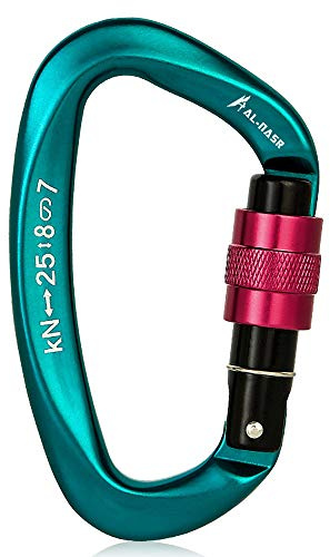 Moschettone da arrampicata professionale 25KN Vite di bloccaggio del cancello Moschettone Fibbia da arrampicata resistente a forma di D Anello a D Moschettone Amaca leggera Clip di bloccaggio per