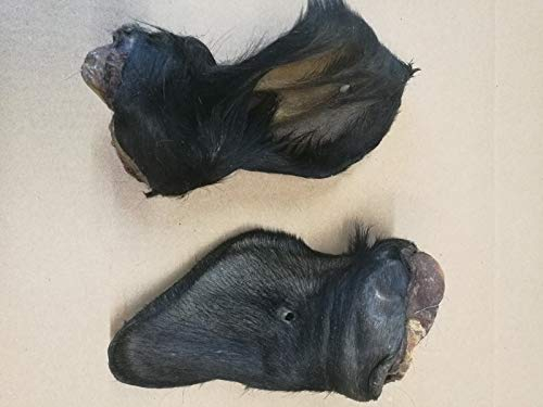 Warnicks Tierfutterservice Rinderohren mit Fell (25 Stück)