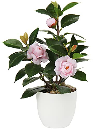 Oairse Konstväxter av kamelia, 28 cm, falska växter i krukor, imiterande kameliaväxter i kruka med rosa falska blommor, skrivbord, köksdekoration
