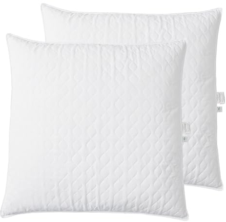 Cuscini in piuma d'oca 80x80cm Set di 2, imbottitura in piumino e piume d'oca, cuscino per dormire, lavabile, Oeko-Tex, bianco
