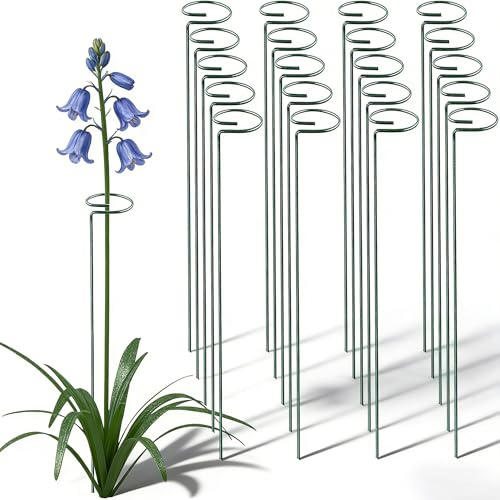 20 Pieces 36 inch Green Single Stem Plant Stakes Flower Support Rings, Gardening Planter Cages for Single Stem Flowers, Amaryllis, Peony, Lily,Narcissus