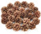 Larber 24 Pezzi Pigne Naturali 5cm con Cordino - Decorazioni Natalizie per Albero di Natale - Pigne di Pino Naturale per Decorazione Invernale