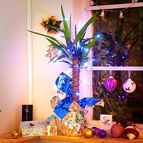 Planta de palma de yuca en papel de regalo con luces de hadas a elegir entre azul, decoración de Navidad y Año Nuevo