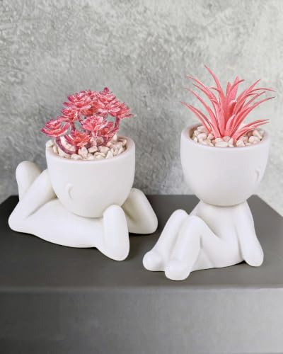 OLEEK Pequeñas Plantas Falsas para decoración de estantes, Regalo Rosa, Bonita decoración de Oficina para Mujeres, Decoraciones de Oficina para Escritorio de Trabajo, Decoraciones de Escritorio para