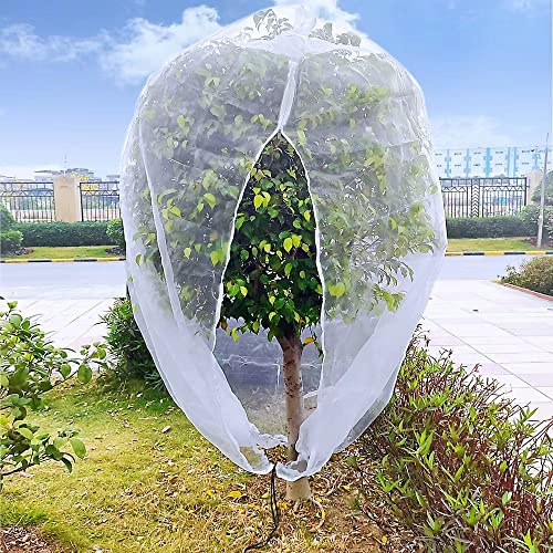 10ftx10ft Large Fruit Tree Netting Bags,Bird Netting for Blueberry Bushes Keep Birds Squirrels Cicadas and Small Animals Out,Ideal Covers for Cherry Fig Peach Apple Trees
