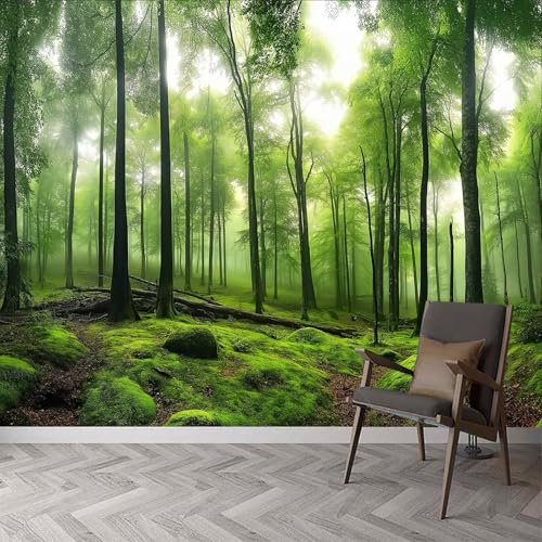 Paisaje Natural Bosques Papel Tapiz Fotográfico 200x140cm - Fotomurales Moderna Decoración de Pared para Sala, Cuarto, Oficina y Salón Paisajes Naturales