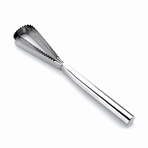 LACOR Raschietto per Pesci in Acciaio Inox 18/10, Argento, One Size, 27 cm