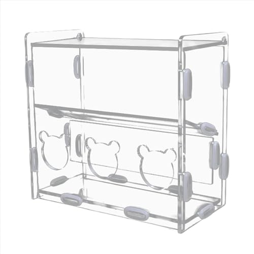 Quail Feed Box - Acrylic No Dirty Automatic Food Container With Multiple Holes | Portable Bird Feeding Box, Automatic Feeder For Codorni