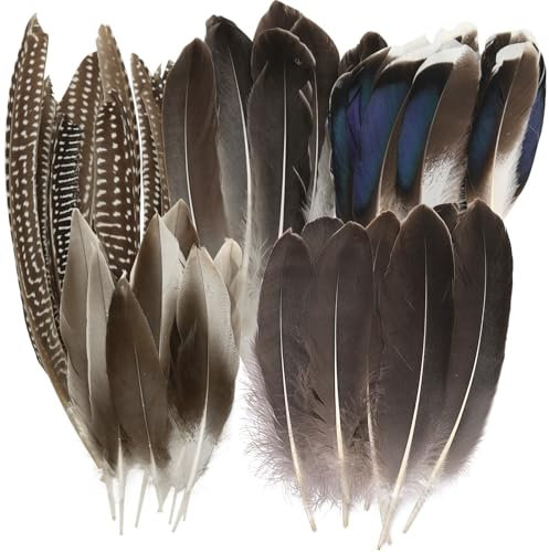 50 Stück große Fasanenfedern-Dekorationen, Bastelfedern natürliche Fasanen-Deko Federn, 5 Stile, gestreifte und gefleckte Federn zum Basteln in großen Mengen, lange Fasanenfedern zum Basteln von DIY