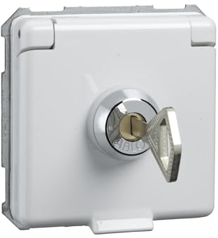 Elso 225064 Steckdoseneinsatz, 250 V