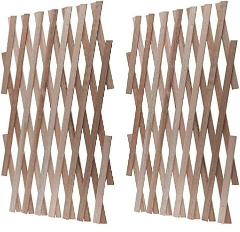 Windhager Treillis en Bois pour Plantes grimpantes Pliables et réglables 90 x 180 cm, Naturel (Lot de 2)