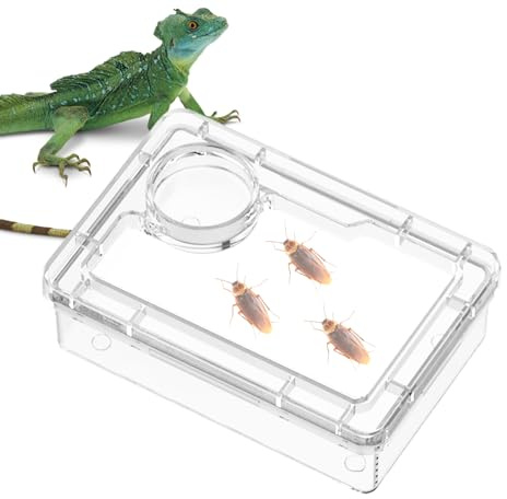 Reptile Food Dish, Anti-Escape Tortoise Water Bowl, Amphibian Supplies for Chameleon, Frog, Snake, Lizard, Spider & Terrarium Habitat