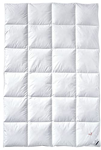Billerbeck Daunendecke - E04 Gold Edition - Bettdecke für den Winter - 155 x 220 cm Decke mit echten Daunen - Wärmestufe Warm