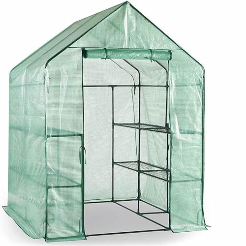 Escala Gewächshaus Treibhaus Glashaus Frühbeet (143 x 143 x 195 cm) Grün