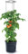 KOTARBAU® Tomatenturm 110 cm Tomatentopf Rankhilfe für Tomaten Gurken Gemüsen Anpassbare Rankgitter Pflanz-Türme ⌀ 30 cm Blumentopf Pflanzkübel Schwarz Kunststoff