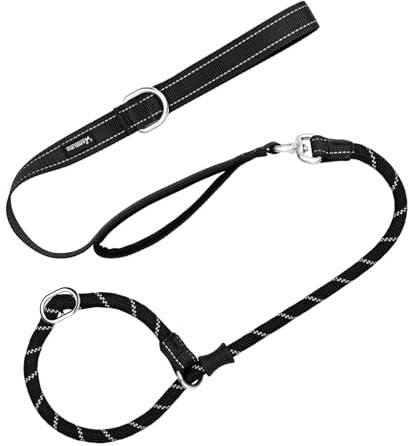Arblina Slip Lead for Dogs, No Pull Slip Lead with Double Handles, Head Halter Training Dog Leash with Hi-vis Light-Reflective Design, Figure of 8 Dog Lead, Black, 1.2 * 130 cm