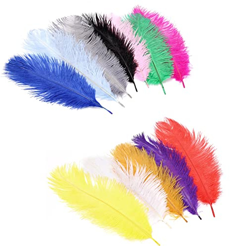 12 st naturlig strutsfjäder 25-30 cm (9,8-11,8 tum) för gör-det-själv Gatsby-dekorationer, bröllop, semesterfest, maskerad (12 färger)