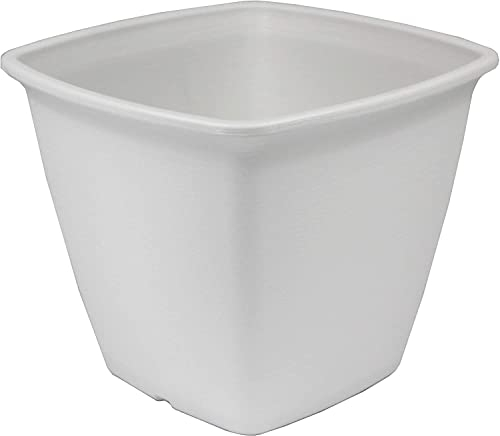 Iris Ohyama, Vaso per piante, fioriera quadrata con sistema di drenaggio/conservazione dell'acqua per il giardinaggio - Square Plant Pot300, Bianca