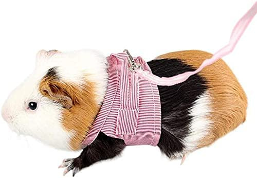 FUFUYO Pettorina per porcellini d'India, cincillà, ratti, ricci, animali domestici sotto 0,5 kg, imbottita, anti-tiro, taglia unica, multicolore, tinta unita, morbida, lavabile a mano