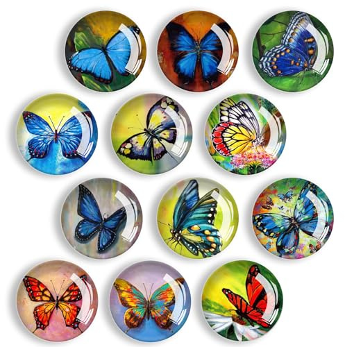 Imanes de Nevera, 12 Piezas Refrigerator Magnet Decorativo, Imanes de Pizarra Blanca para Refrigerador, Pizarra, Tablero de Alfileres, Cocina, Niños y Regalo para Adultos (Mariposa)