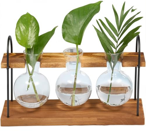 Jarrón Hidropónico De Madera, Tubo para Plantas Hidropónicas, Estación De Propagación con Soporte De Madera – Decoración para Casa, Oficina y Patio
