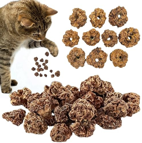 Frutti Matatabi Giochi per Gatti,20pcs Matatabi per Pulizia della Dentizione,Cat Teething Toys,Gatti Giochi da Masticare Bastoncini per Gatti Denti