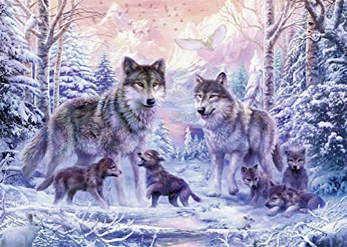 Meecaa Diamond Painting Set Full Bilder Tier Wolf Jungtier Schnee, 5D Diamant Painting Diamant Malerei mit Zubehör 30x40cm (Tier)