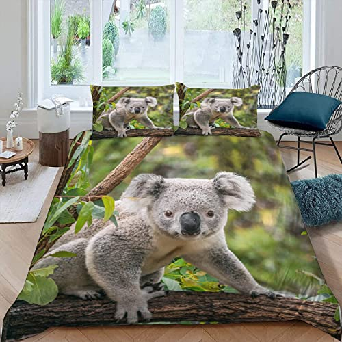 JIARAO Kinder Bettwäsche Set 135x200 3D Druck Koala Auf Eukalyptus Bettwäsche100% Mikrofaser Weiche mit Reißverschluss Landtiere Sommer Bettbezüge und 2 Kissenbezug 80x80 cm
