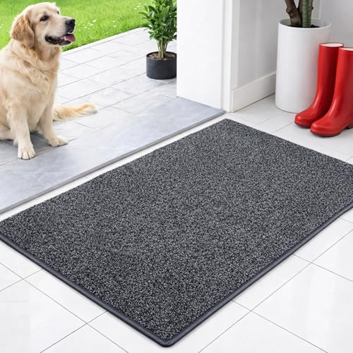 Floordirekt Schmutzfangmatte innen 60 x 150 cm - Anthrazit - rutschfeste Maschinenwaschbare Fußmatte - Türmatte Sauberlaufmattestürmatte - Fussmatte für Hund - Haustür & Flur - NASA