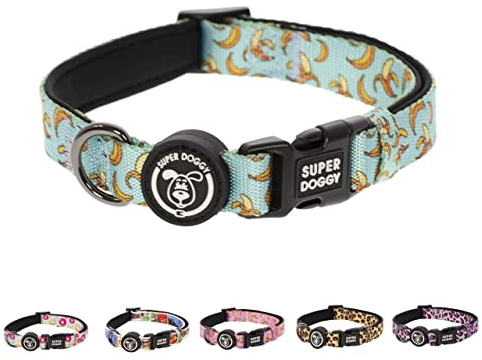 Collare per Cani di Piccola, Media e Grande Taglia - Collari in Nylon Regolabile e Imbottito - Per Passeggiate, Allenamento e Corsa - Leggero e Ideale per i Cuccioli (Blue Bananas, S (25-40cm))