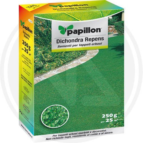 PRATO DICHONDRA REPENS IN SEMI gr. 250