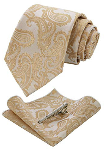 JEMYGINS Set Cravate Homme Motif Paisley avec Pochette et Pince a Cravate pour Mariage Business et Ceremonie Dunkelgold