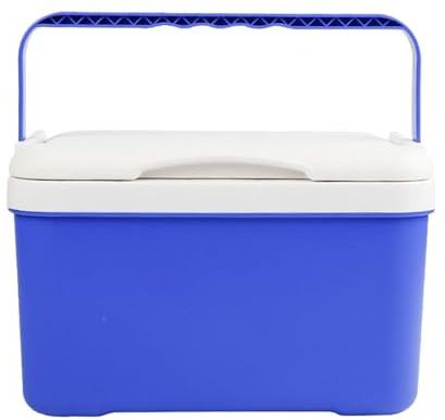 Borsa Frigo Grande,Cassa Isolata 6L Impermeabile - Cassa per Ghiaccio con Manico,per Attività All'aperto, Automobilismo, Campeggio, Escursionismo, Viaggi, Viaggi d'Affari e Picnic
