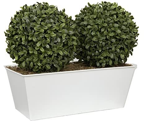 GreenBrokers Topiary Aglaia - Maceta de Madera de boj (35 cm), Color Blanco