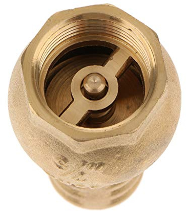 LOVIVER Gewinde Fußventil Saugkorb, Aus Messing, DN20