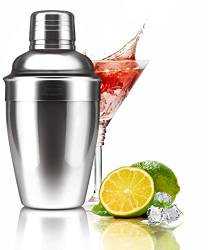 Newness Cocktail Shaker, Stainless Steel Martini Shaker, Drink Shaker Built-in Strainer, Professional Stainless Margarita Mixer, Bartender Kit Gifts, Small, Easy to Carry, Single Martini 8.4oz（250ml)