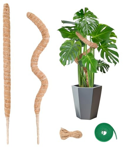 Bastone per Piante Rampicanti, GardenSage 2 x 60 cm Pieghevole Palo Muschiato Monstera di Cocco per Sostegno Piante da Interno e Rampicanti