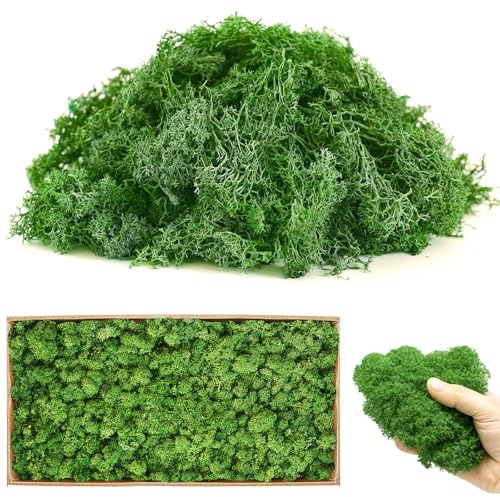 Muschio artificiale di renna conservato da 0,6 kg, 601 g, per piante in vaso, erba verde decorativa per Pasqua, fai da te, giardino, decorazione da parete e tavolo