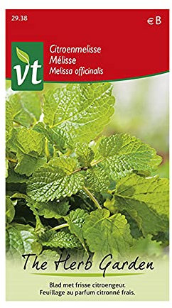 Lemon Balm - Herb Seeds