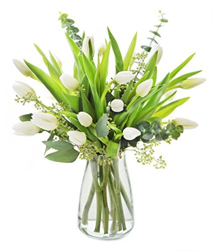 KaBloom PRIME NEXT DAY DELIVERY - Mother’s Day Collection - Bouquet of Blissful White Tulips, 2.Gift for Birthday, Sympathy, Anniversary, Get Well, Thank You, Valentine, Mother’s Day Fresh Flowers