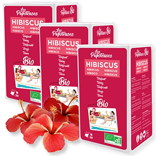 LES PAPOTEUSES | Tisana flores de hibisco desecados bio | 60 bolsitas | Caja de 3 confecciones de 20 bolsitas | Certificación ecológica