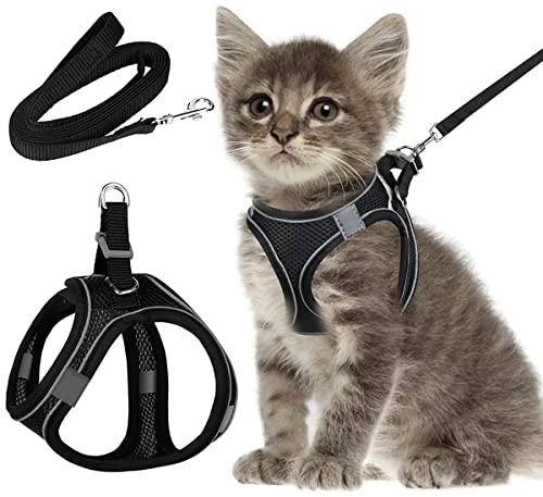 Katzengeschirr Mit Leine Ausbruchsicher - Set für Katzen, Kitten, Hunde, Welpen (XXS)