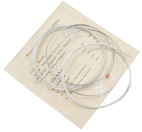 Bordstract Mandolinensaiten-Set, 8-teiliges Mandolinensaiten-Set aus Versilberter Kupferlegierung Für Mandolinenwartung Und Reparatur