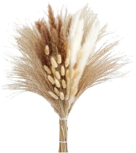 Glixoft Bouquet d'herbe De Pampa Naturelle, Fleurs Séchées Artificielles Moelleuses, Style, Décoration pour Maison Chambre
