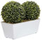 GreenBrokers A1057-01 Künstlicher Formschnitt, Aglaia, Doppelkugel, Buchsbaum, in weißer Blechdose, 35 cm