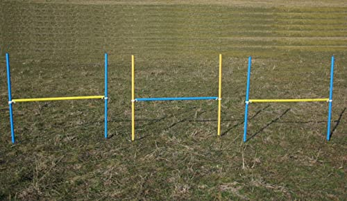 Wuzzmann 3 x hobbyhäst/hobbyhäst/hinder-set i blå/gul