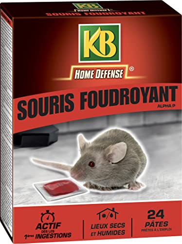 KB HOME DEFENSE SFOUDPATN - Pâtes Anti-Souris 240 g - Action foudroyante et Forte attractivité - Actif dès la 1ère Ingestion - Lieux secs et humides - 24 sachets de pâtes de 10 g - Fabriqué en France