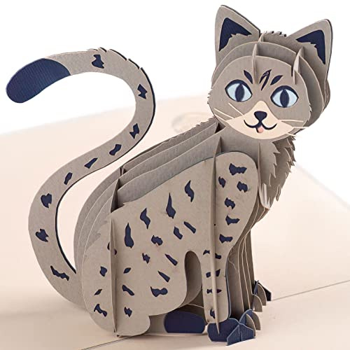 Cat Pop Up Card by DEVINE Popup Cards w/envelope (15 x 20cm) | 3D Birthday Card | Pop Up Greeting Cards for Women